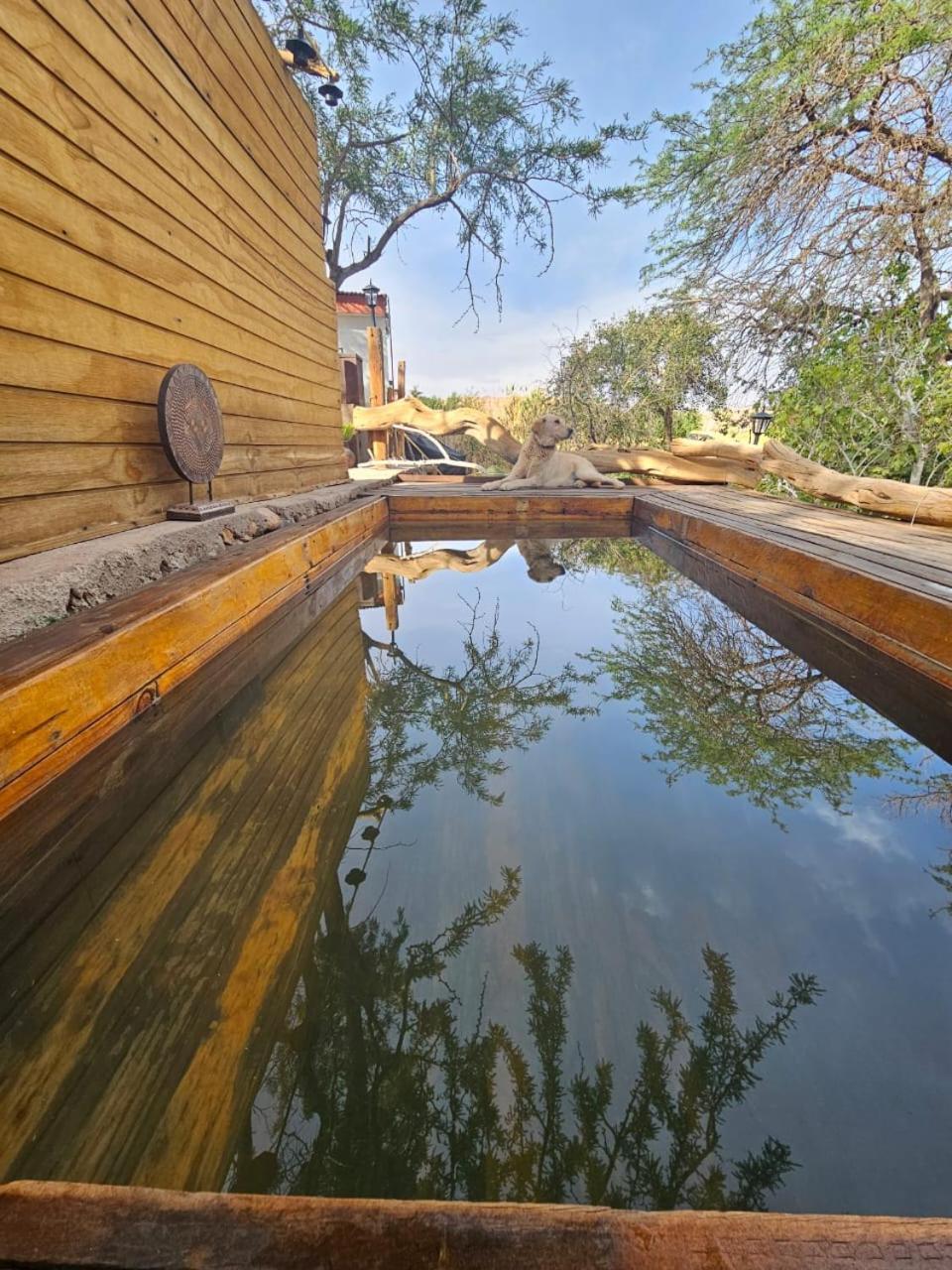 Anka Lodge Quitor San Pedro de Atacama Exterior photo